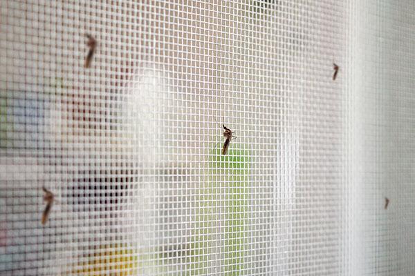 moustiquaire posée sur fenêtre